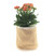 Jute Plant Bag - Drum in Natural