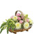 Trug Basket - Softwood Dotty Grey (30.5cm L)
