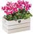 Home Sweet Home Wooden Crate Keepsake Box Planter - White Wash