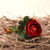 Ranunculus Burgundy - Artificial Flowers Collection