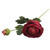 Ranunculus Burgundy - Artificial Flowers Collection