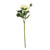 Ranunculus Cream Pink - Artificial Flowers Collection