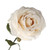 Rose (Long Stem Vintage) Cream - Artificial Flowers Collection