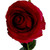 Rose (Full Bloom Camelot) Red - Artificial Flowers Collection
