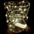 LED Lights - String of Wired Firefly Lights - Cool White (20 Bulbs)