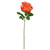 Balmoral Wild Rose Orange