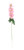 Essential Pink Arundel Garden Delphinium (77cm)