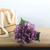 Purple Arundel Hydrangea (34cm)