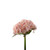 Essential Pink Hydrangea Bouquet (23cm)