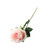 Essential Pale Pink Garden Rose