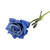 Essential Blue Rose