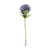 Essential Purple Giant Hydrangea