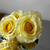 Camelot Pale Yellow Rose Bunch (7 Heads) 