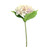 Cream & Lavender Arundel Hydrangea