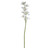 Real Touch Large Cymbidium White (36inch)