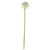 76cm Single Allium Cream & White