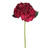 Deep Red Short Stem Hydrangea