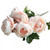 Pink and Cream Peony Bunch