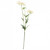 White Scabiosa Spray 75cm