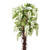 Cream Wisteria Potted Tree (5ft)