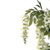 Cream Wisteria Potted Tree (5ft)
