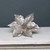 Champagne Glitter Poinsettia Pick 