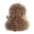 Hedgehog Palm Pal