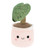 Plant Bobballs 12cm (Assorted) 