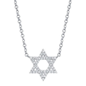 Shy Creation White Gold Diamond Star of David Necklace Shy Creation White Gold Diamond Star of David Necklace