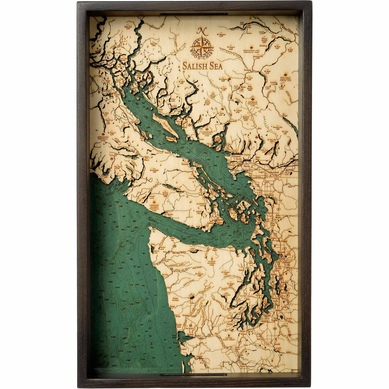 Salish Sea Wood Map Salish Sea - Nautical Wood Maps - Serving Tray