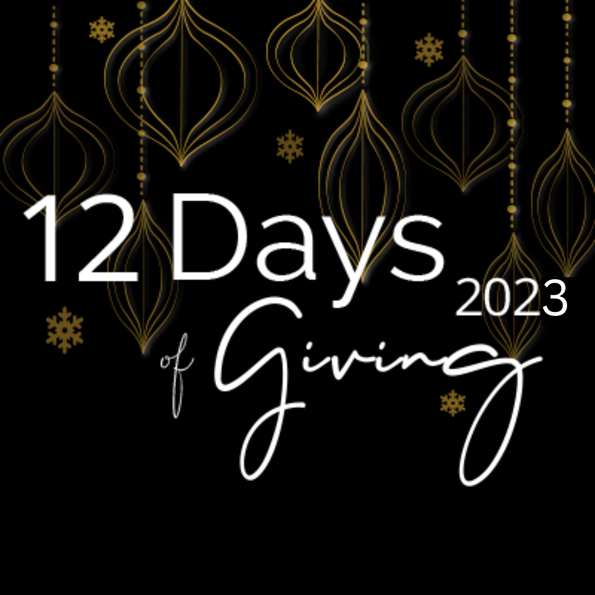 12 Days of Giving 2023