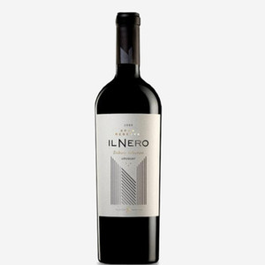 Antigua Bodega Stagnari - 'Il Nero' Gran Reserva Tannat 2011