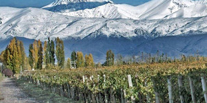 Fiesta del Vino - Wines of South America