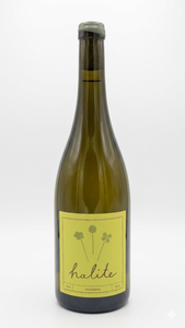Halite Mangatahi Chardonnay 2025
