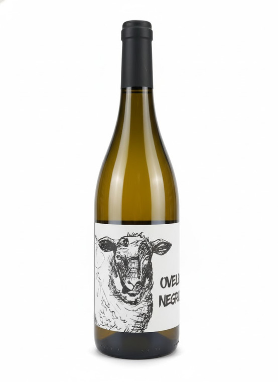 Mas Candi - 'Ovella Negra' 2019/20/21