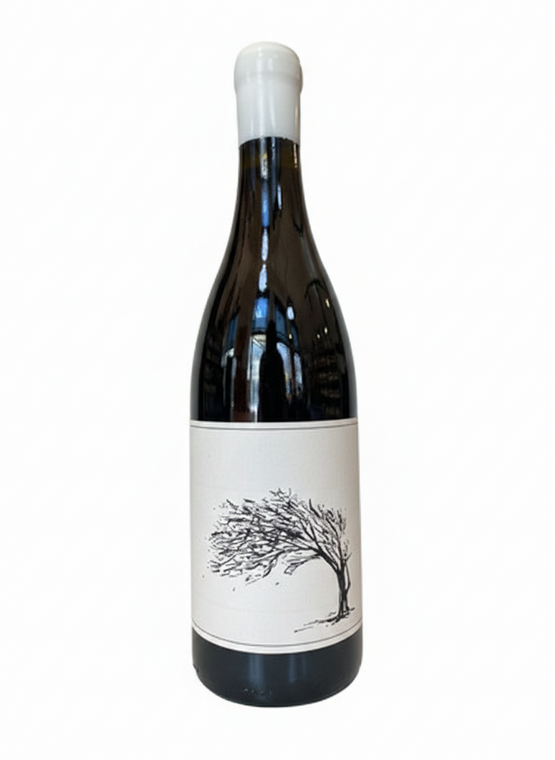 Savage - The girl next Door  - Syrah 2021/22