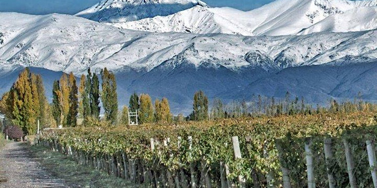 Fiesta del Vino - Wines of South America