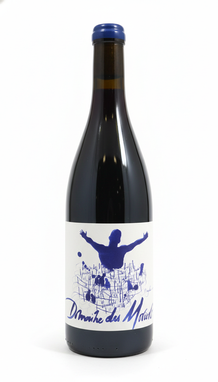 Domaine des Moriers Beaujolais Village 2022