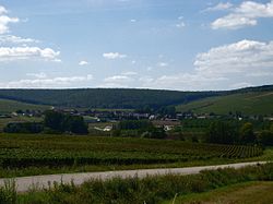 Chablis and Premier Cru Vaulorent.jpg