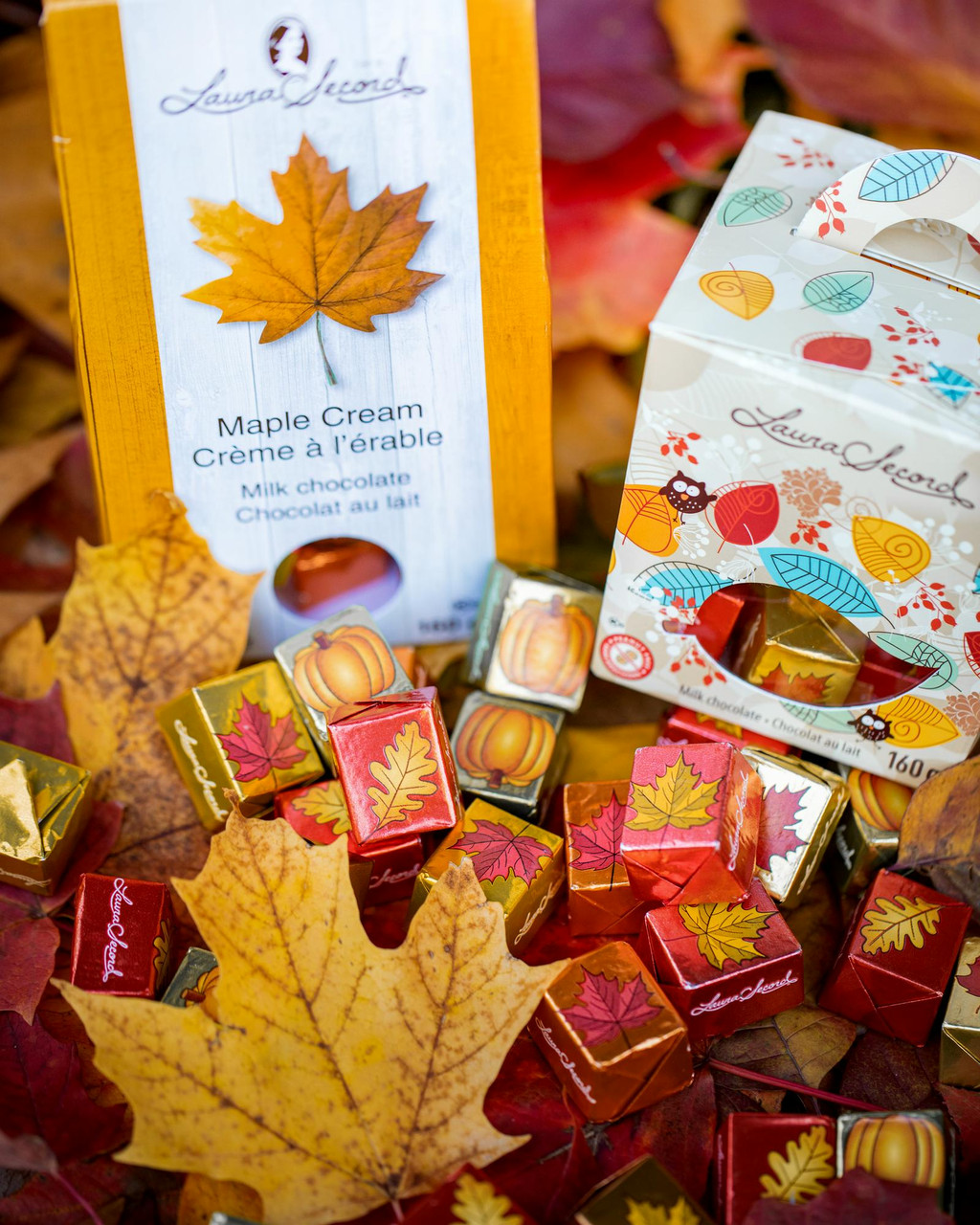 Milk chocolate maple cream gifts
