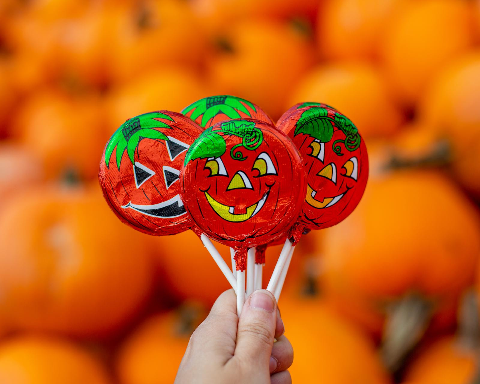 Milk Chocolate Halloween Pop 28 g [86724]