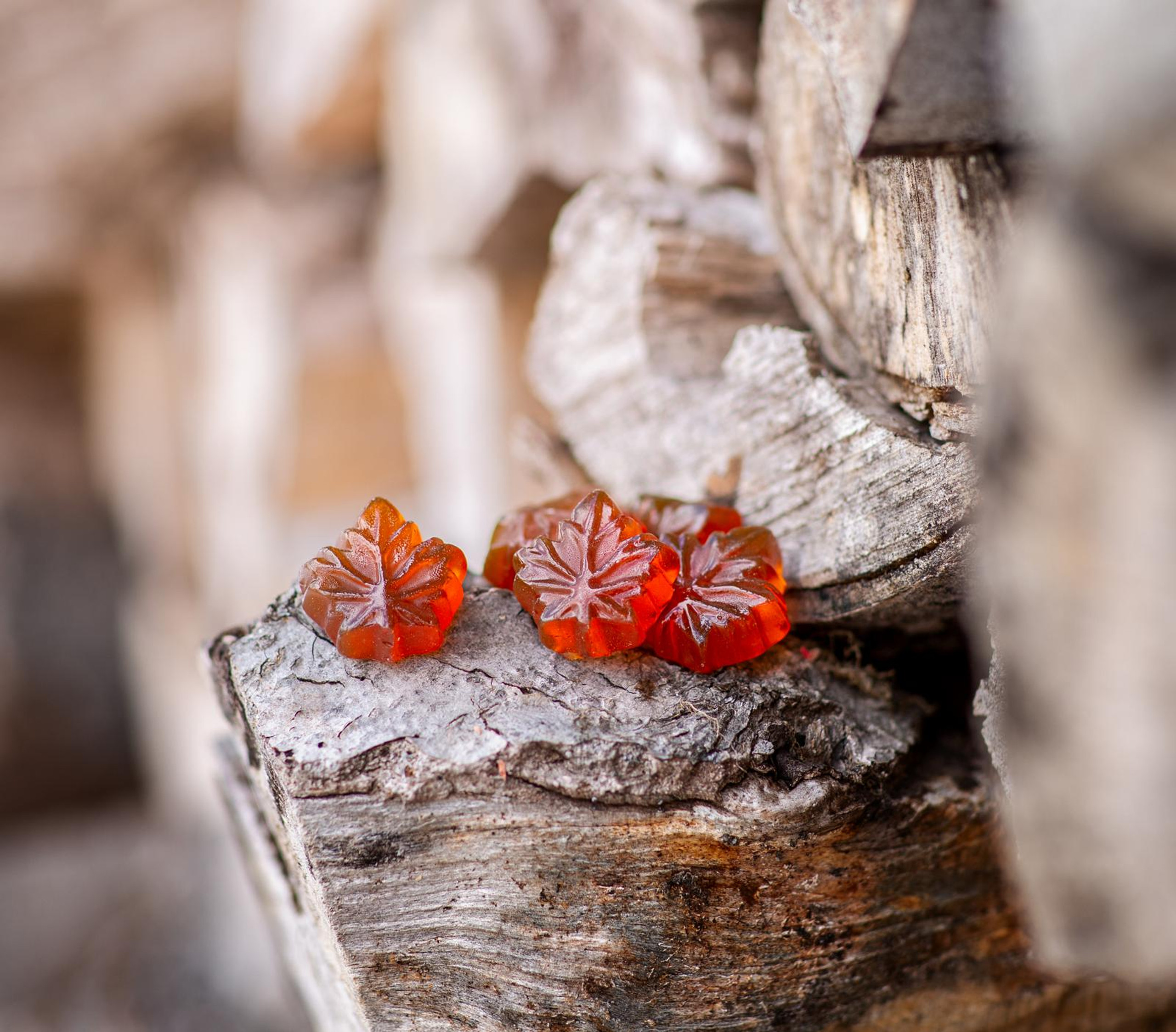 Maple hard candies [82608]