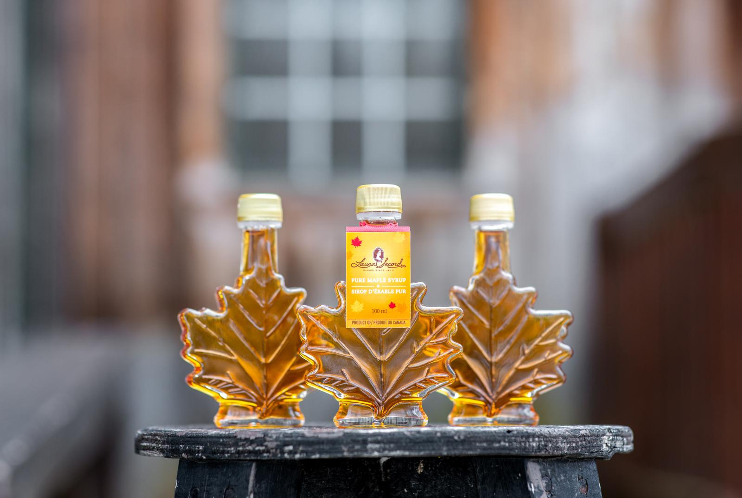 Pure maple syrup [86072]