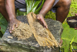 Historical Medicinal uses of Kava