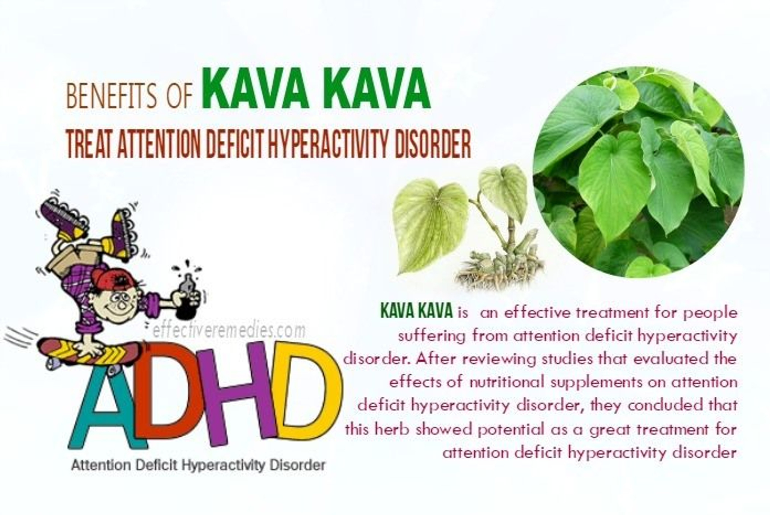 ADHD Herbal Remedies KavaKava Best Fiji Kava Inc
