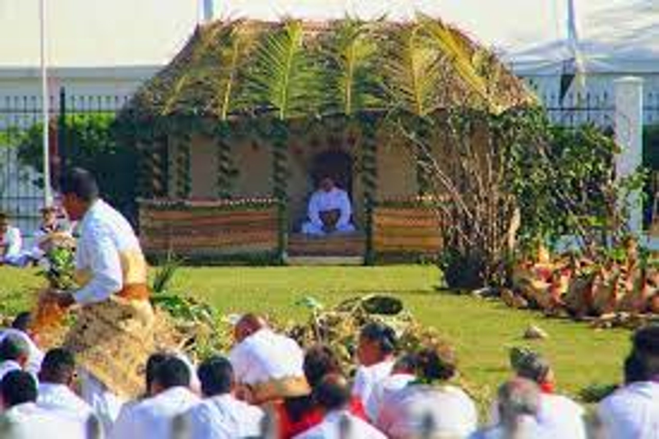 tongan-kava-ceremonies-best-fiji-kava-inc
