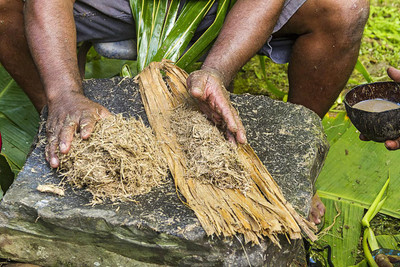 Historical Medicinal uses of Kava