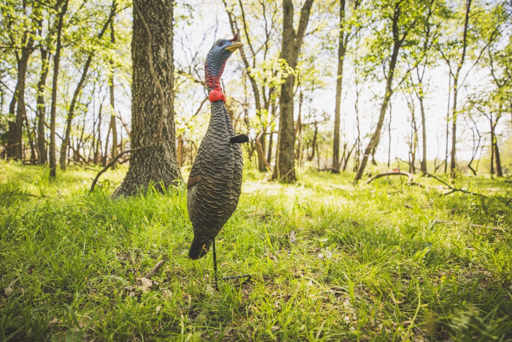 Flextone Game Calls | Thunder Chick Upright | Turkey Hen Decoy