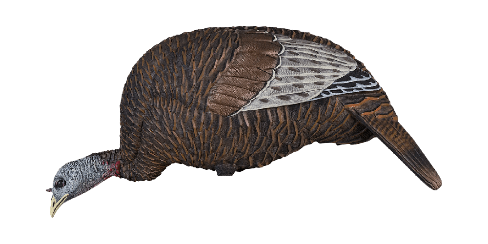 Flextone Thunder Chick