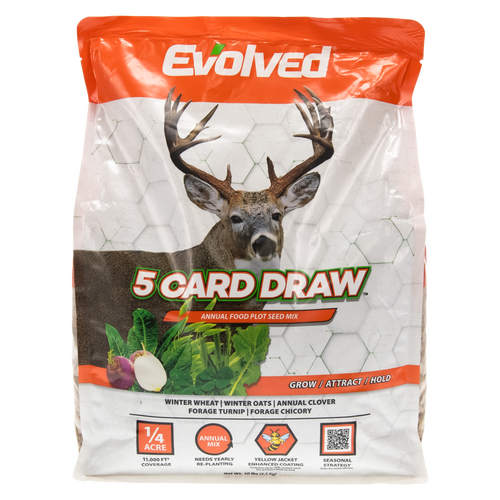 5 Card Draw™